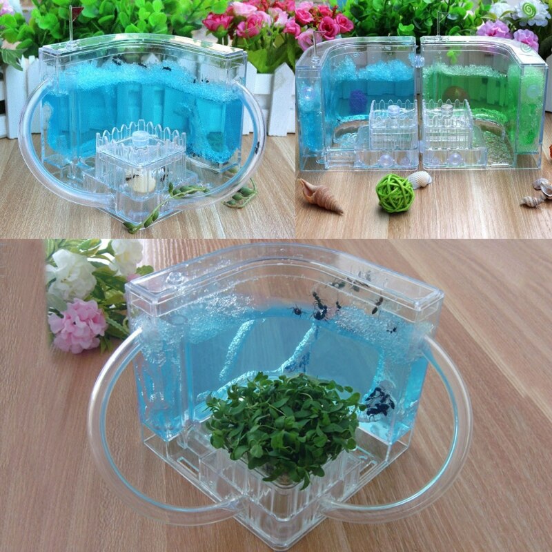 3D Ant Farm Educational Maze Live Feeding System Ants Habitat World Pet Villa 67JB