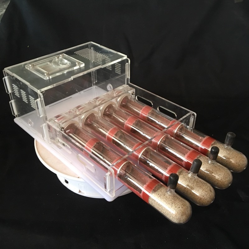Granja de hormigas de vidrio acrílico con área de alimentación, casa de hormigas, fábrica de insectos, 4 tubos de ensayo, hormiguero