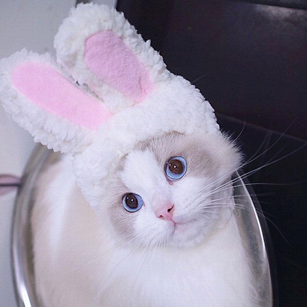 Funny Easter Cute Plush Costume Easter Cap Bunny Headdress Rabbit Hat With Ears For Cats And Small Dogs Hat Pet Products