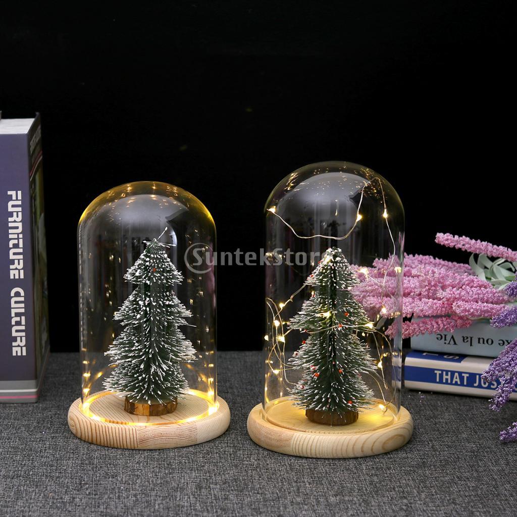 Luces LED con batería, Base de madera, campana de cristal transparente, decoración de mesa, planta, florero, contenedor, paisaje DIY en miniatura