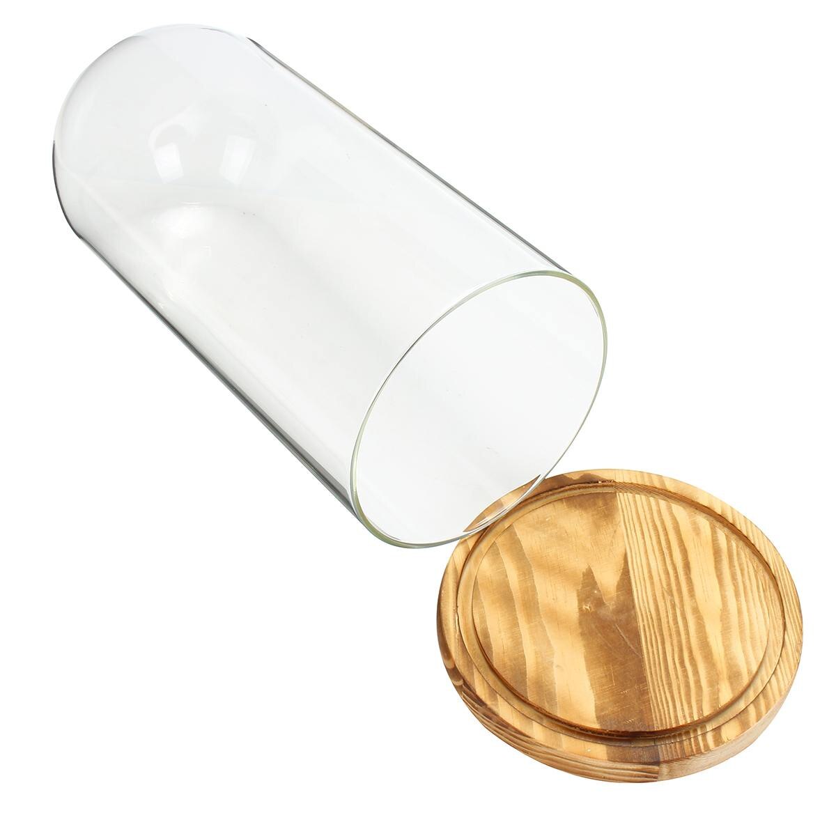 Glass Globe Display Dome Cover Cloche Bell Jar Immortal Flower Rose Preservation Vase Wooden Base Wedding Home Decoration