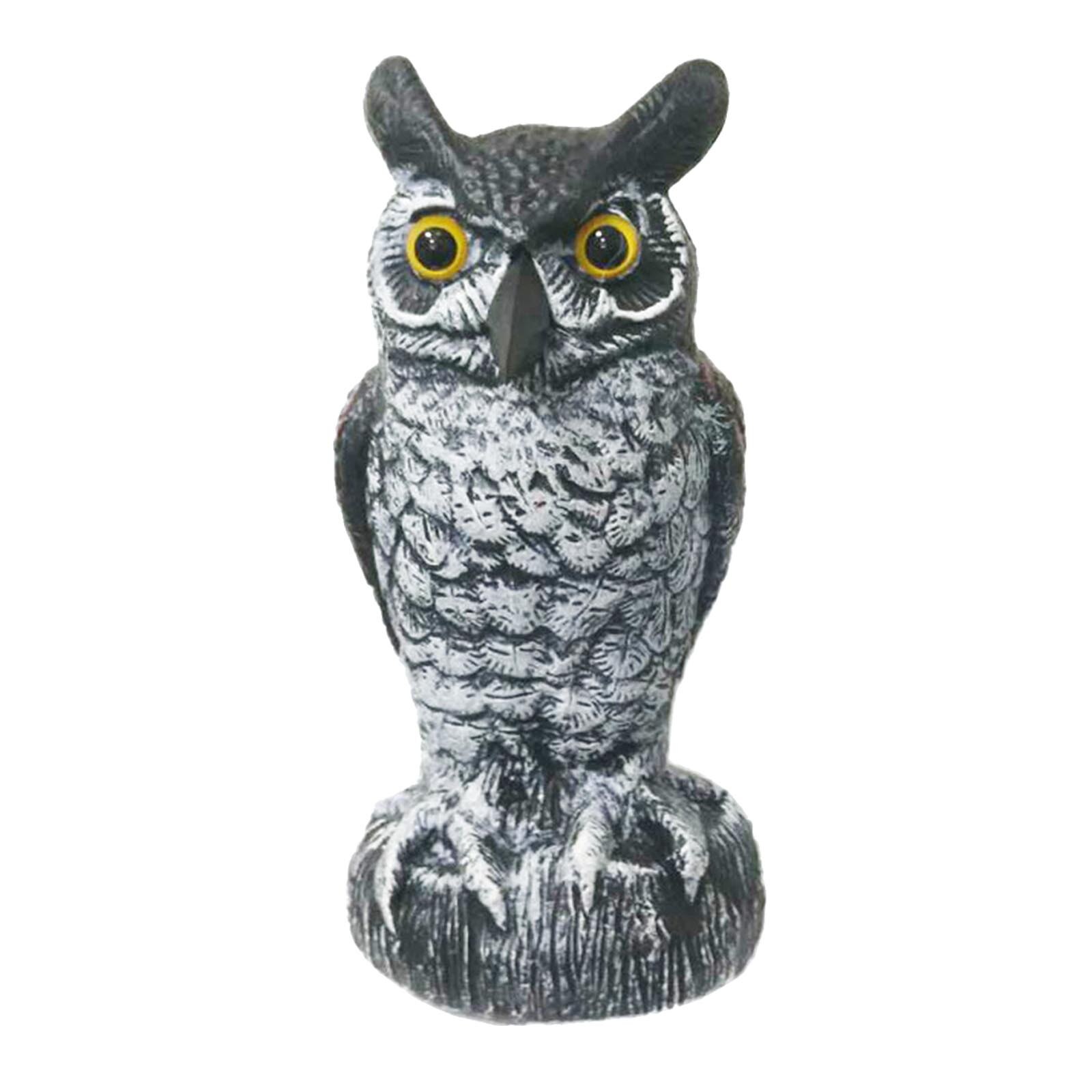 Plastic Uil Is Gebruikt Als Een Natuurlijke Vijandige Pest Repellent Voor Outdoor Tuinen Qw: F