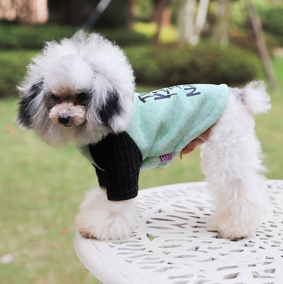 Winter Hund Katze Warme Mantel Jacke Katze Welpe Hoodie zur Seite fahren Buchstaben Winter Outfit 6 Größen: Grün / XXL