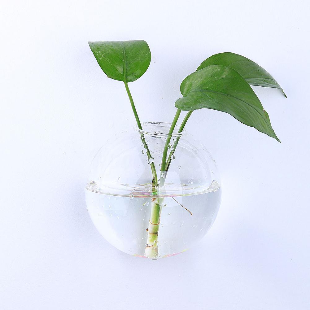 Vase mural suspendu en verre pour plantes hydroponiques, Terrarium, Pots de fleurs, Vases de jardin, maison, récipient pour poissons, Pl H9t6