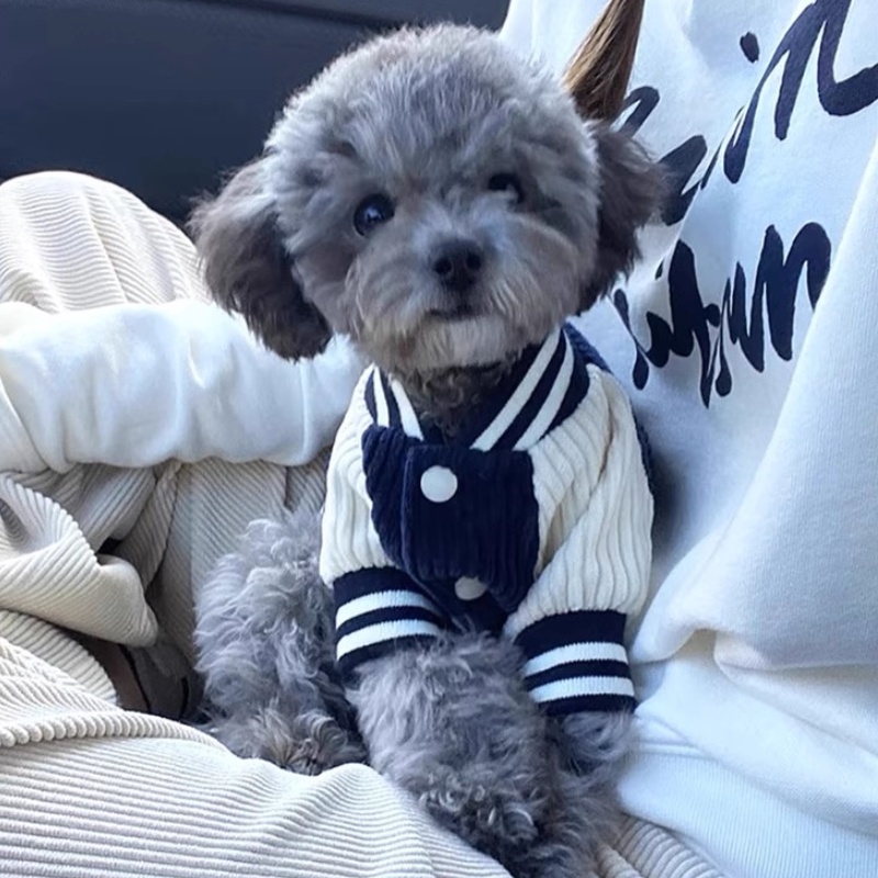 Bordado dos desenhos animados cão uniforme de beisebol inverno quente roupas para cães moda filhote de cachorro casaco engrossar macio gato casaco trajes para animais de estimação: L / Branco