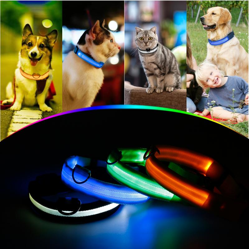 Collar LED de nailon para perro, correa de perro con luz luminosa y fluorescente, intermitente de seguridad nocturna, multicolor