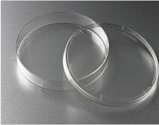 10pcs Clear Glass Glass Petri Dishes Cell Sterile Culture Dish Lab Supplies Feeder Tray Round Container Aquarium