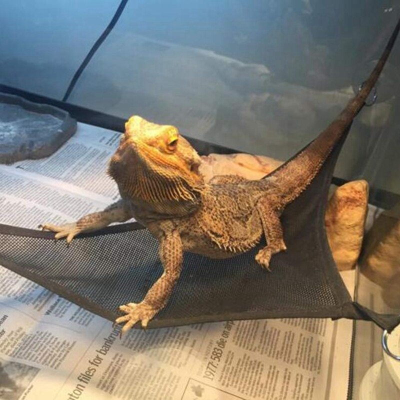 Reptil hengekøye loungestige tilbehør sett for store små skjeggede drager anole gekko firben eller slanger (e , 19 × 13 × 1