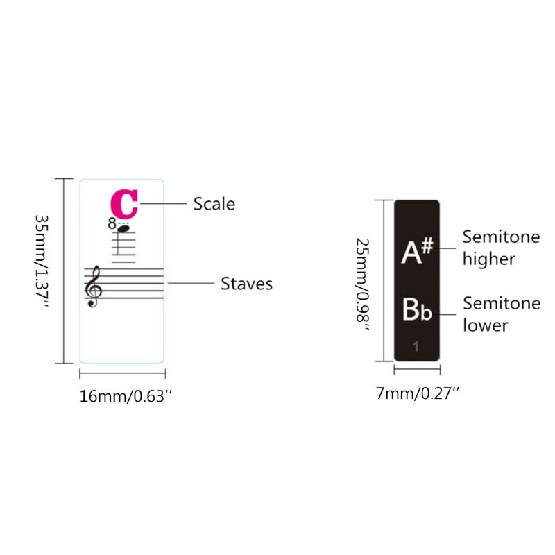 Piano Keyboard Stickers Colorful Detachable Music Decal Spectrum Sticker Symbol