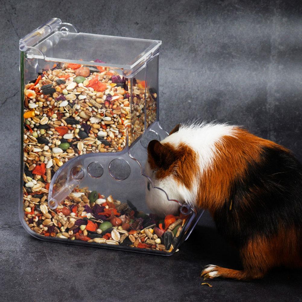 Dispensador de alimento para conejos y hámster, comedero de plástico transparente automático para mascotas, para hámster, conejillos de indias, contenedor de cuencos de comida