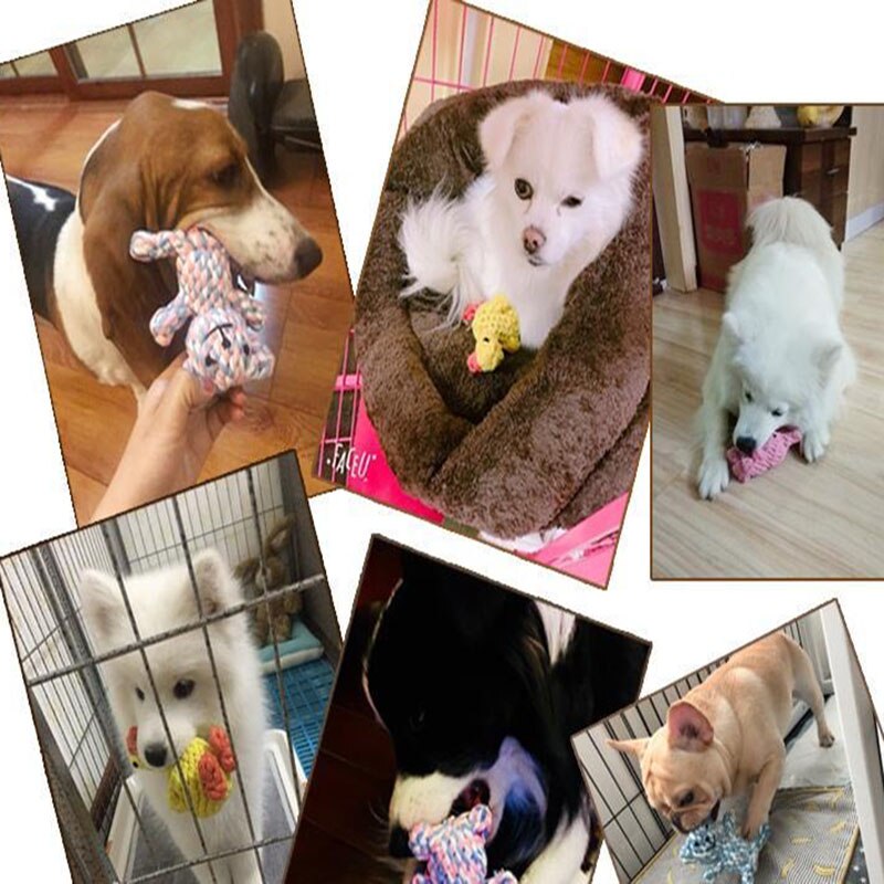 1pcs Bite Resistant Pet Dog Chew Toys for Small Dogs Cleaning Teeth Puppy Dog Rope Knot Ball Toy Playing Animals Dogs Toys Pets
