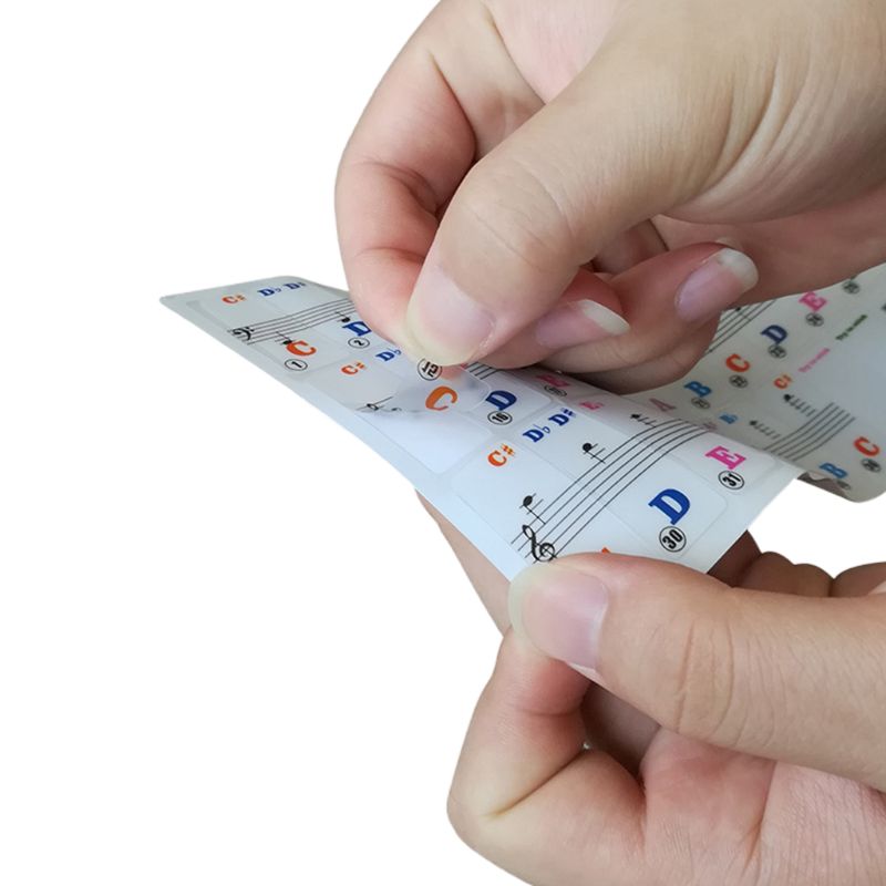 Piano Keyboard Stickers Specially for 61 Key.Colorful Bigger Letter Removable