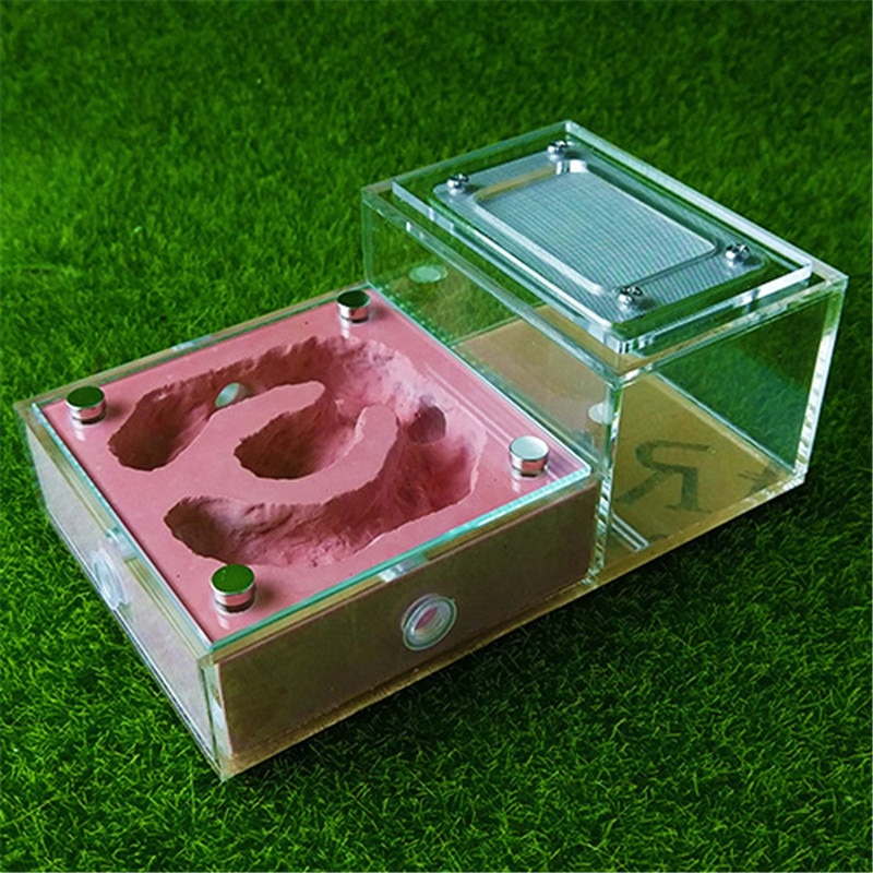 Plaster Ant Nest Acrylic Ant Farm Ants Queen House Insect Cage Anthills Pet Ant House