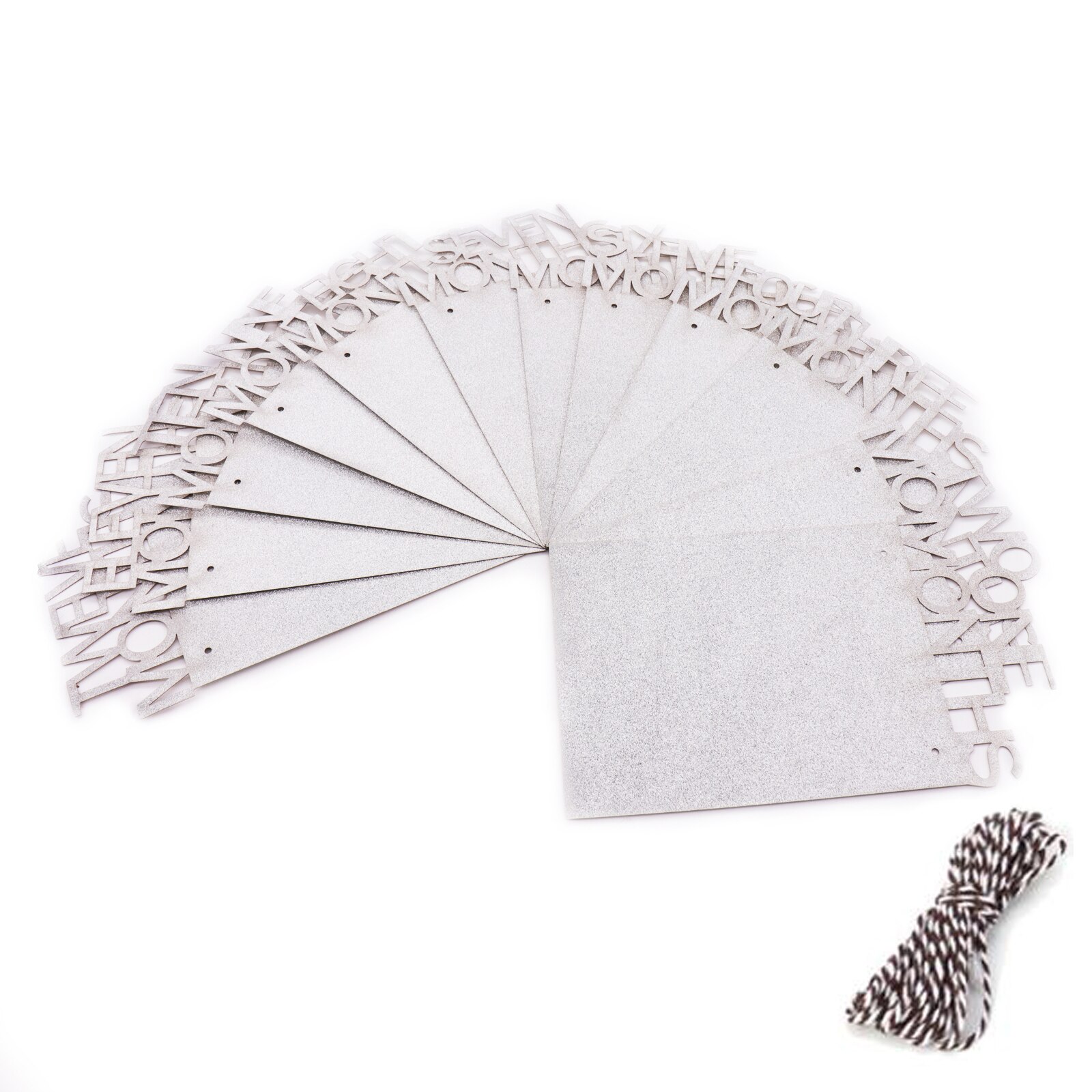 1-12 Month Baby Photo Frame Hanging Photo Banner Monthly Photo Wall Photo Frame for Baby Shower Birthday Party Home Decoration: Silver