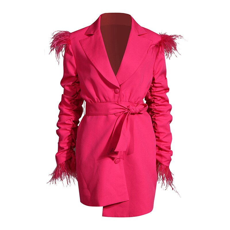 [EAM] vestido de temperamento Irregular de plumas plisadas para mujer, vestido holgado de manga larga con muescas, tendencia a la , primavera otoño 1DA242: rose red / M