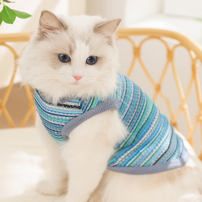 Koelvest voor honden Zomer hondenkleding Ademend mesh Kat T-shirt Chihuahua Bichon Kleding Hond Meisje Kostuum Dun puppyshirt