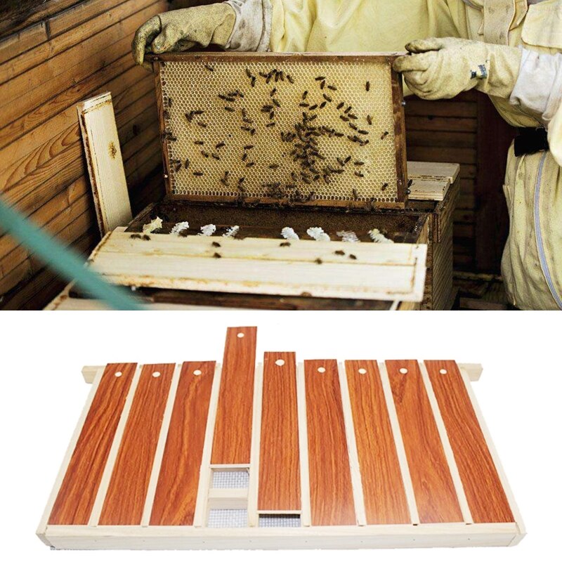 Træ dronning bi opbevaringsenhed bikubeburamme til dronning opdræt kasse sæt dronning opdræt system biavlssæt biavl hjælpe