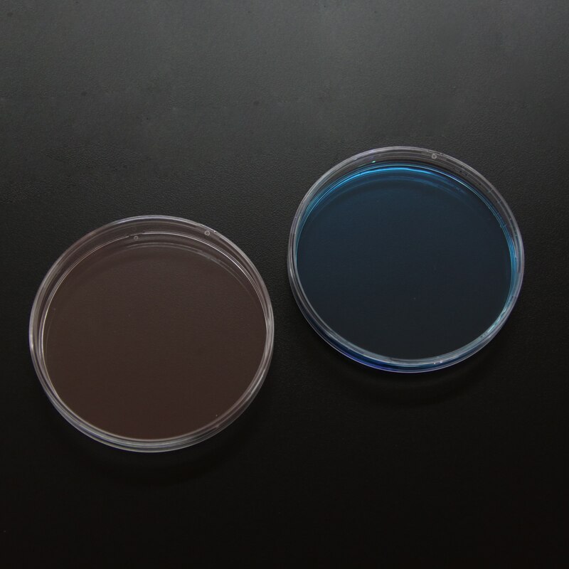 10PCS Plastic Cell Culture Dish 90mm Plastic Petri dish for Laboratory Use with Lids