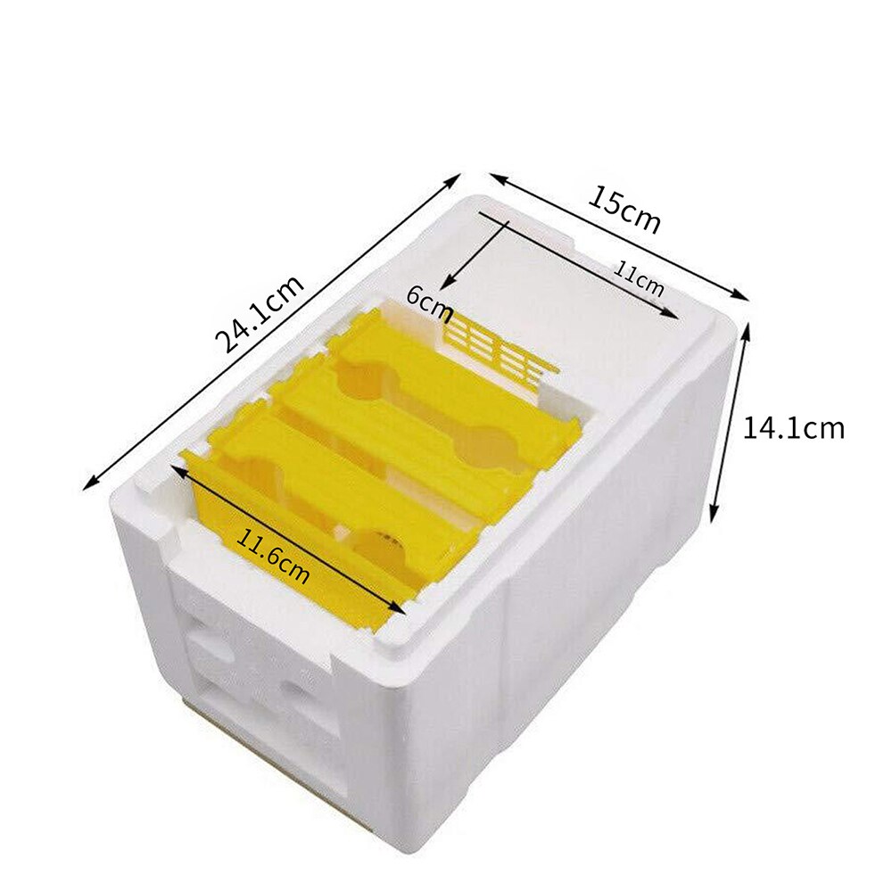 Schaum Biene Paarung Kasten mit Netz Warmkeeping Wasserdichte Königin Zucht fallen 24,1 x15x 14,1 cm Bienenzucht Werkzeuge für Bestäubung können CSV: Ursprünglich Titel