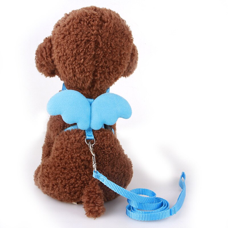 Laisse pour animaux de compagnie, petit ange, sangle de poitrine, ailes, ensemble de harnais pour chien, chat, lait, petit chien, corde pour Mini chien, chiot, fournitures: Blue / XS