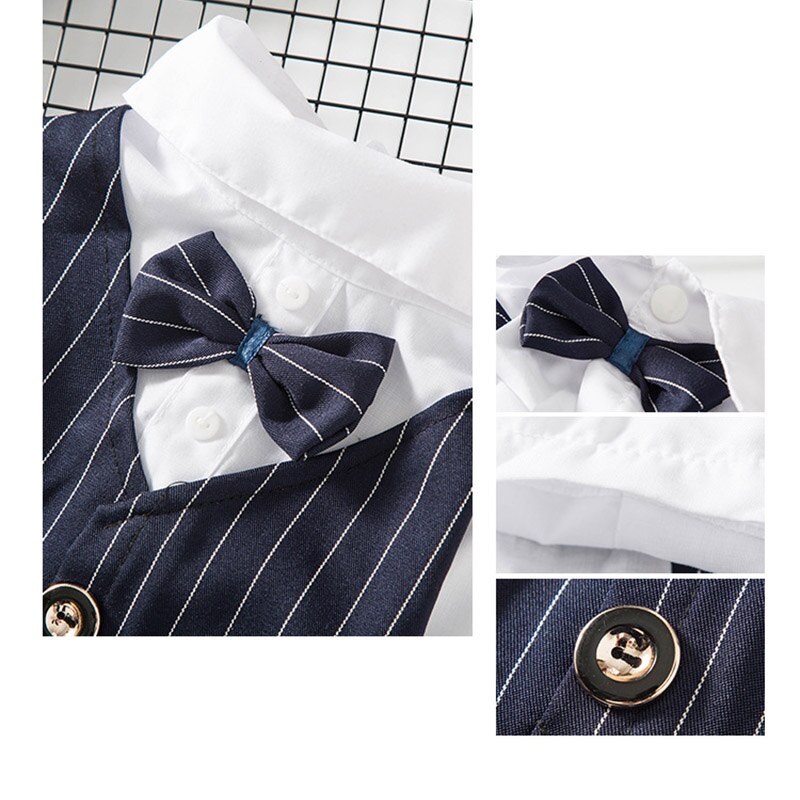 Beau Costume de fête pour chien et chat, vêtements solides à la , veste pour animaux de compagnie pour chats, petits chiens, vêtements de fête d'anniversaire et de mariage