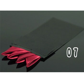 En enkel formell dress lommetørkle for menn herre #39: 7