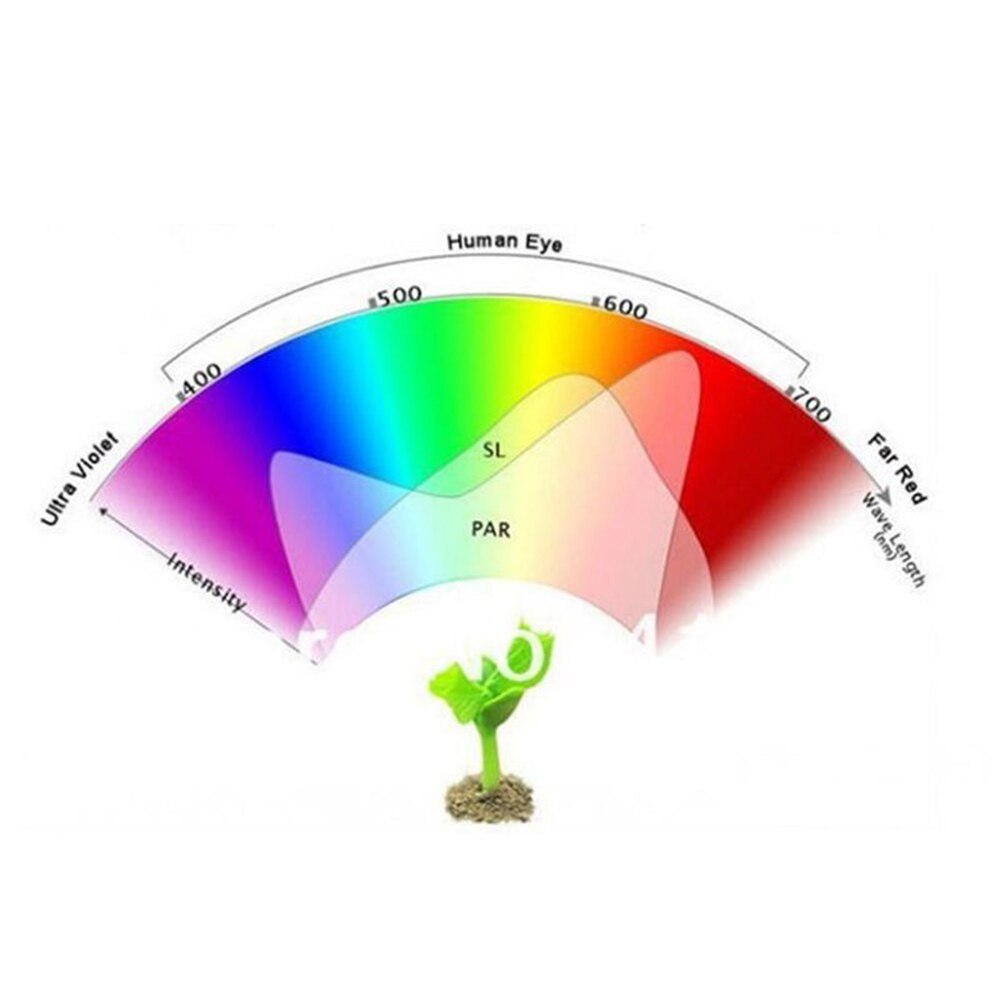 E27 24 W 200 LED Plant Grow Light lamp bloem zaden Groeiende Lichten Bollen Hydrocultuur