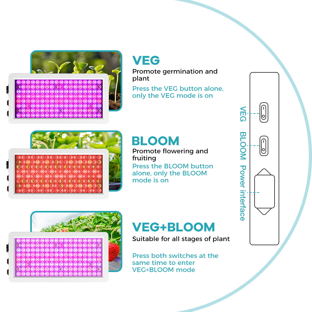 Pełne spektrum światła LED do uprawy roślin 500W BLoom/VEG 2 tryby hydroponiczny namiot szklarniowy pudełko na wzrost lampa do uprawy sukulentów owocowych