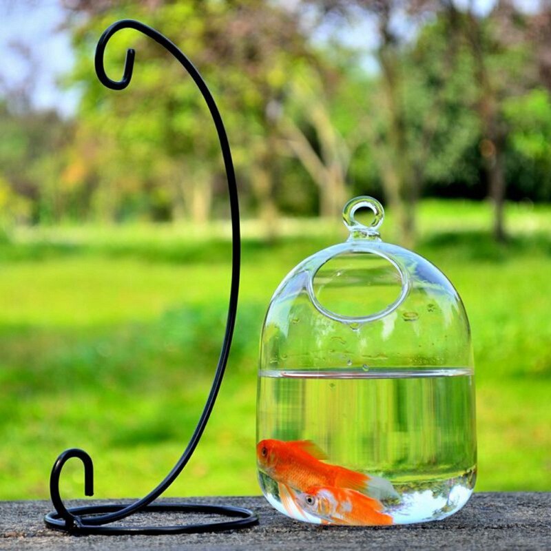 Hängande glas vas akvarium svart hylla guldfisk tank tillbehör