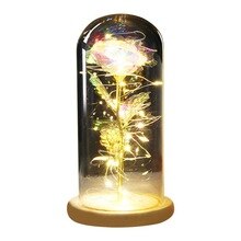 Party Wedding Mother's Day Preserved Forever Rose ... – Vicedeal