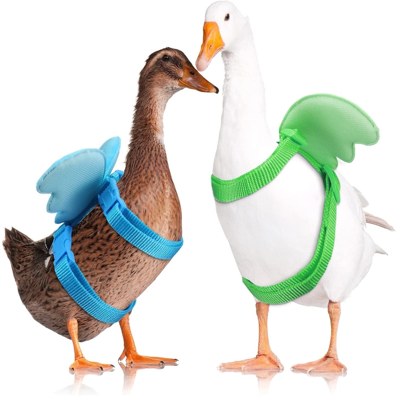 Pet Duck Outside Walking Harness Leash Hen Chickens Harness Adjustable Outdoor Training Traction Rope for Goose Hen
