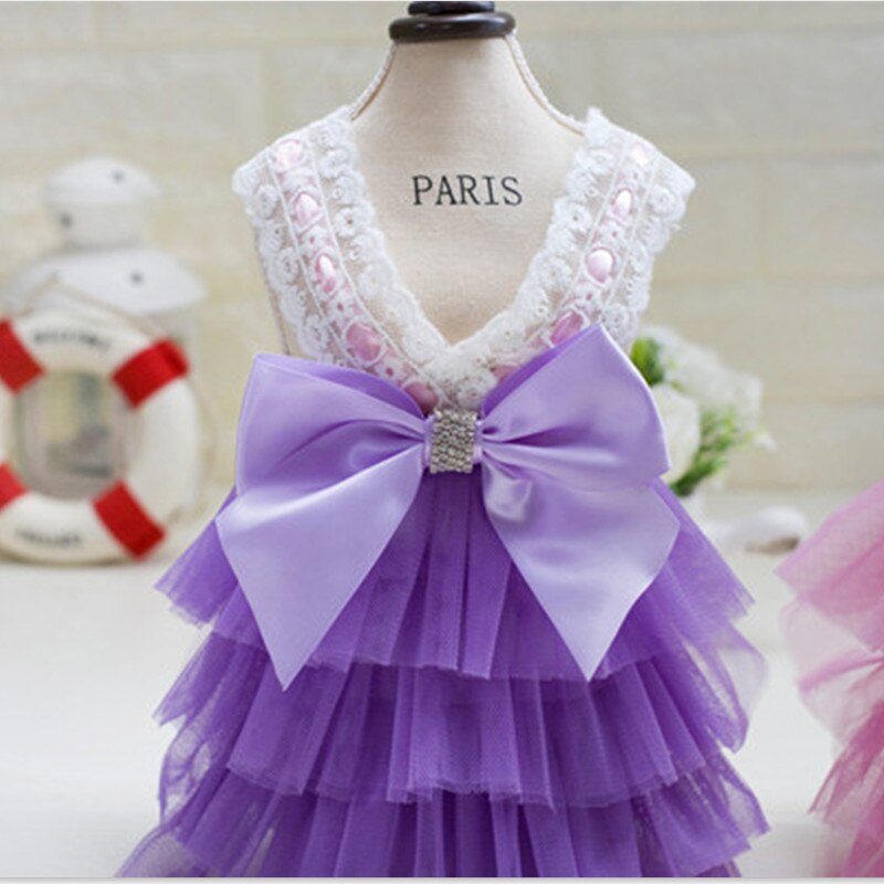 Vêtements pour animaux de compagnie de luxe pour petit chien robe princesse mariage Tutu robe nœud printemps été chien vêtements