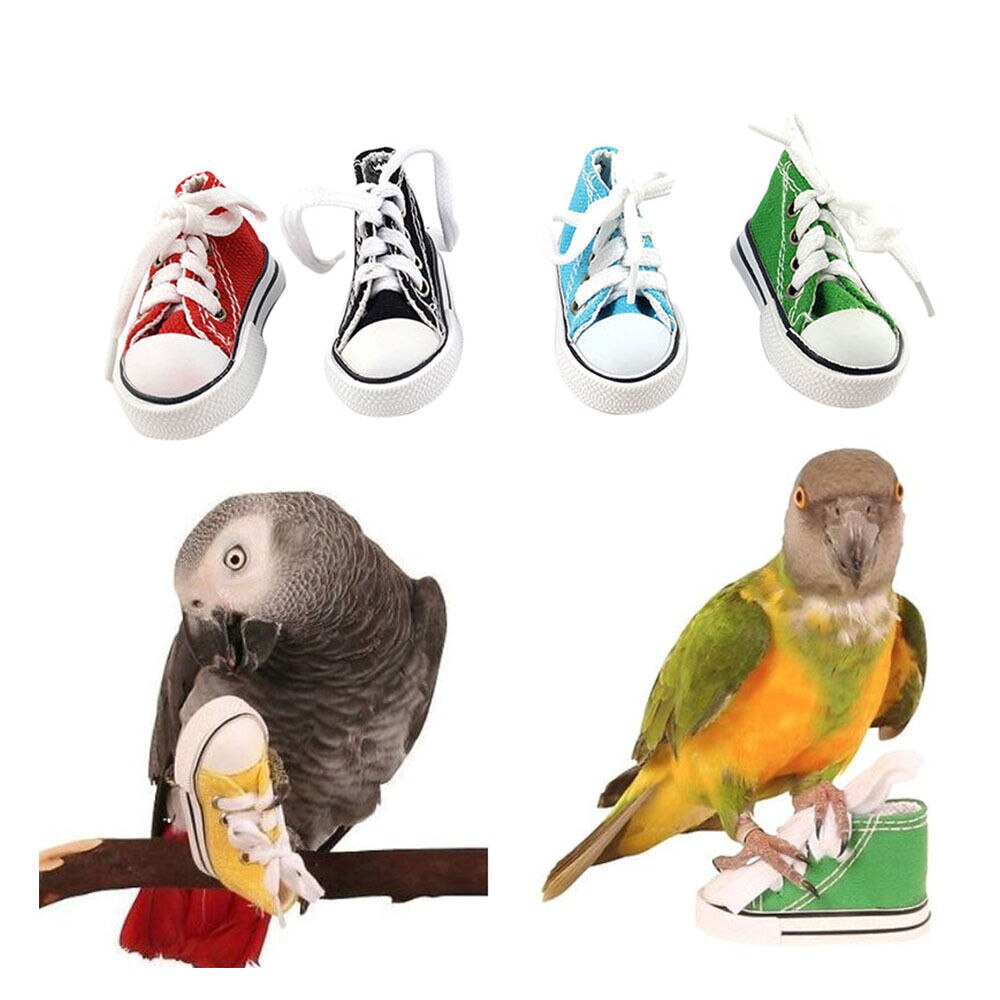 Mini zapatos de lona zapatos loro juguetes mascotas pájaro de la jaula decoración pie escalada juguete loro jaula para pájaros para mascotas zapatos loro Juguetes