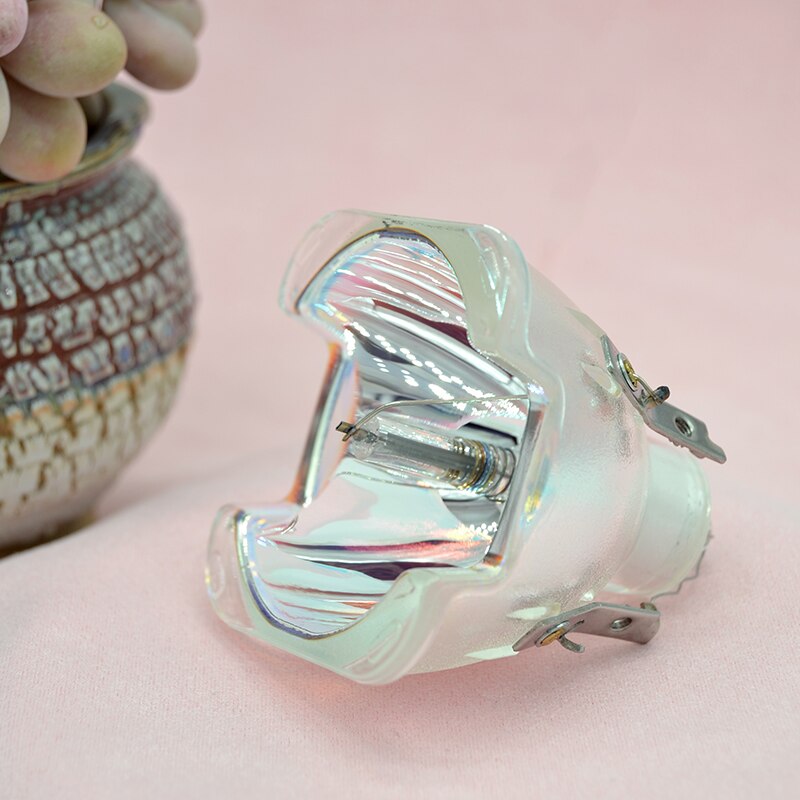 SP.70B01GC01/BL-FU310D REPLACEMENT PROJECTOR LAMP/BULB FOR OPTOMA EH490/EH502/W490/W502/X502/EH504 -180day warranty