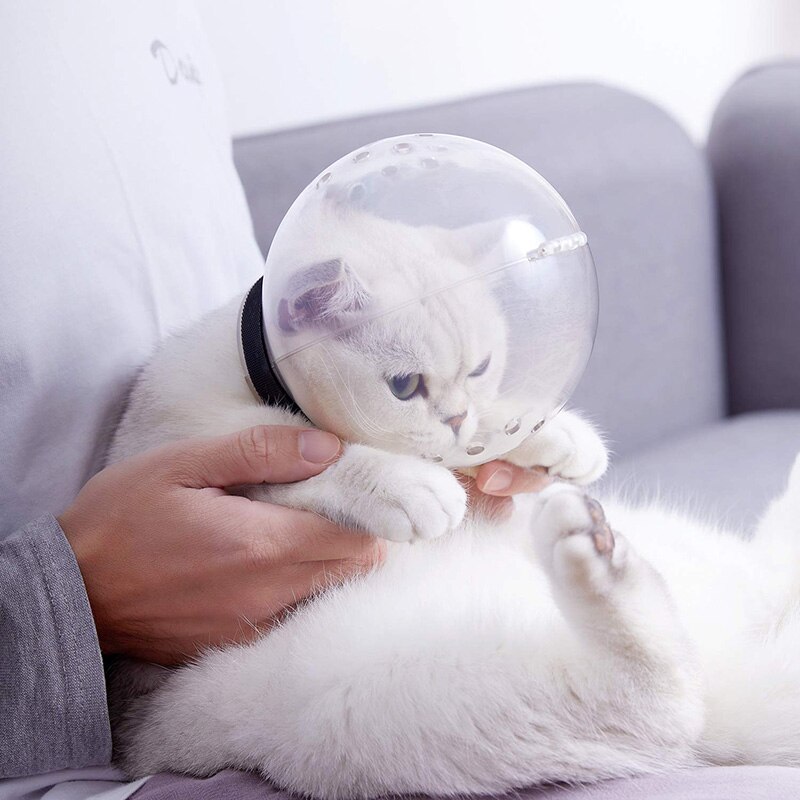 Pleiemaske kattens munnkurv antibitt pustende maske anti-slikking beskytte plass hette maske deksel munnkurv katt bad stelleutstyr