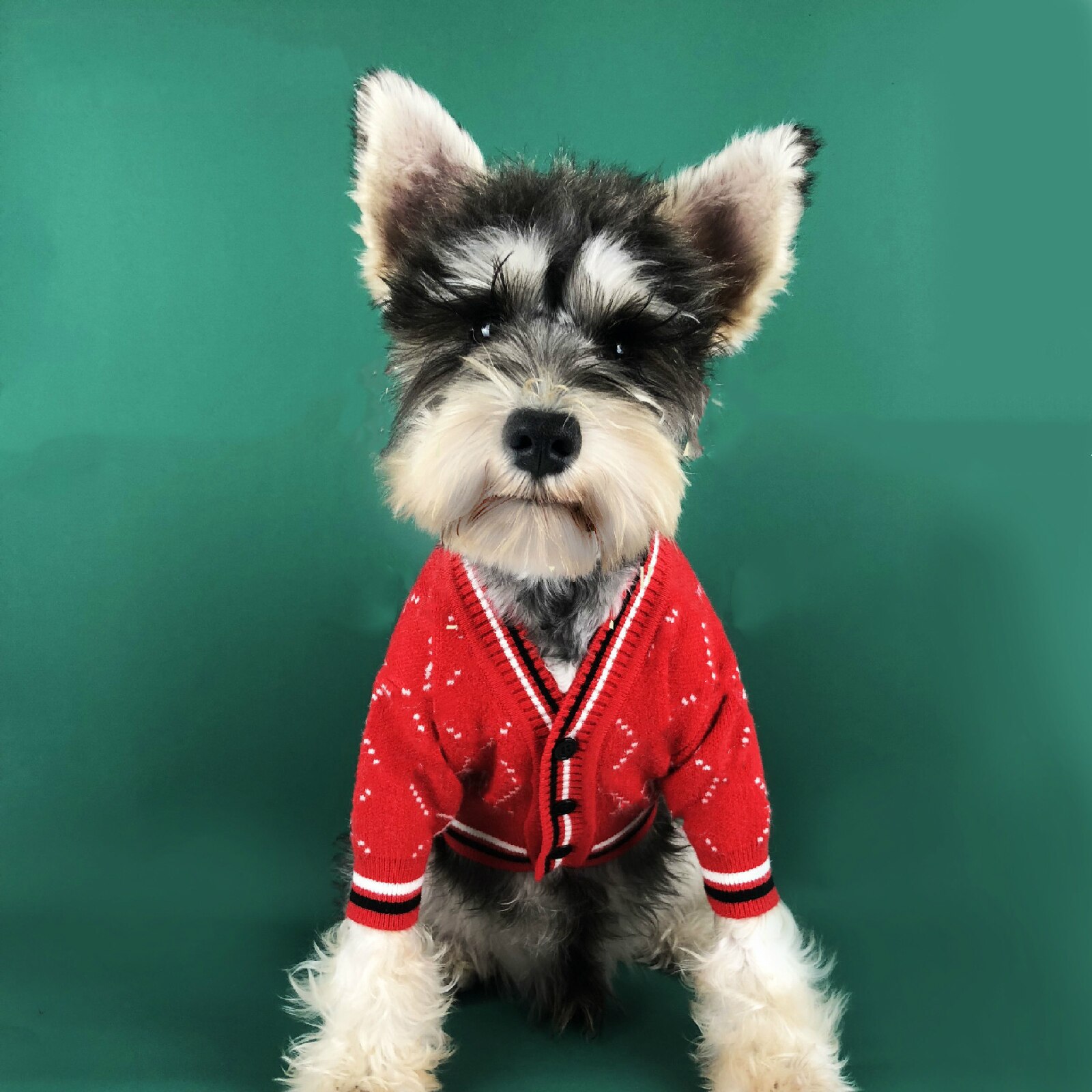 chien pull luxe chiens coton sweat pour Yorkshire Chihuahua tenue doux manteaux pour bouledogue français carlin chiot Costume: Red / S
