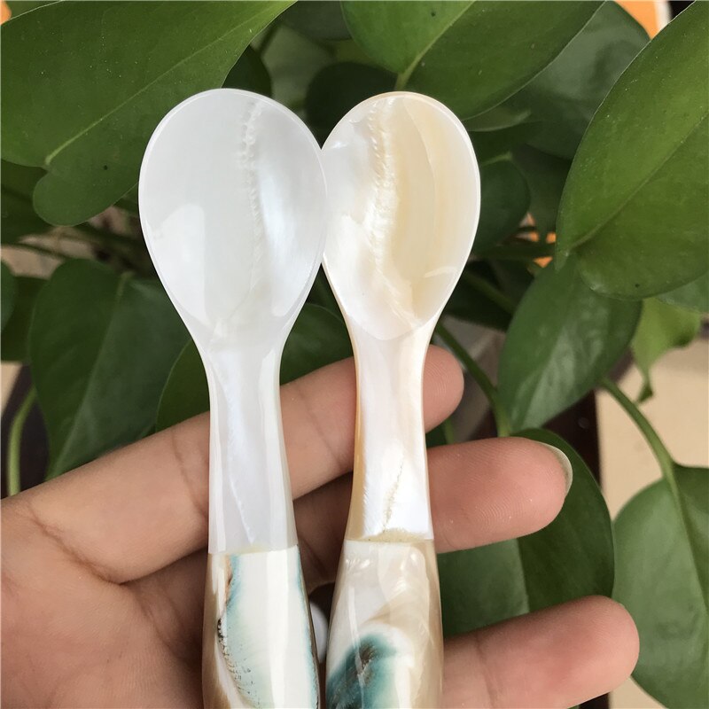2Pcs Natuurlijke Schelp Mossel Koffie Lepel Rivier Masker Kruiden Lepel Scoop Van Caviar Creatieve Conch Kenmerken