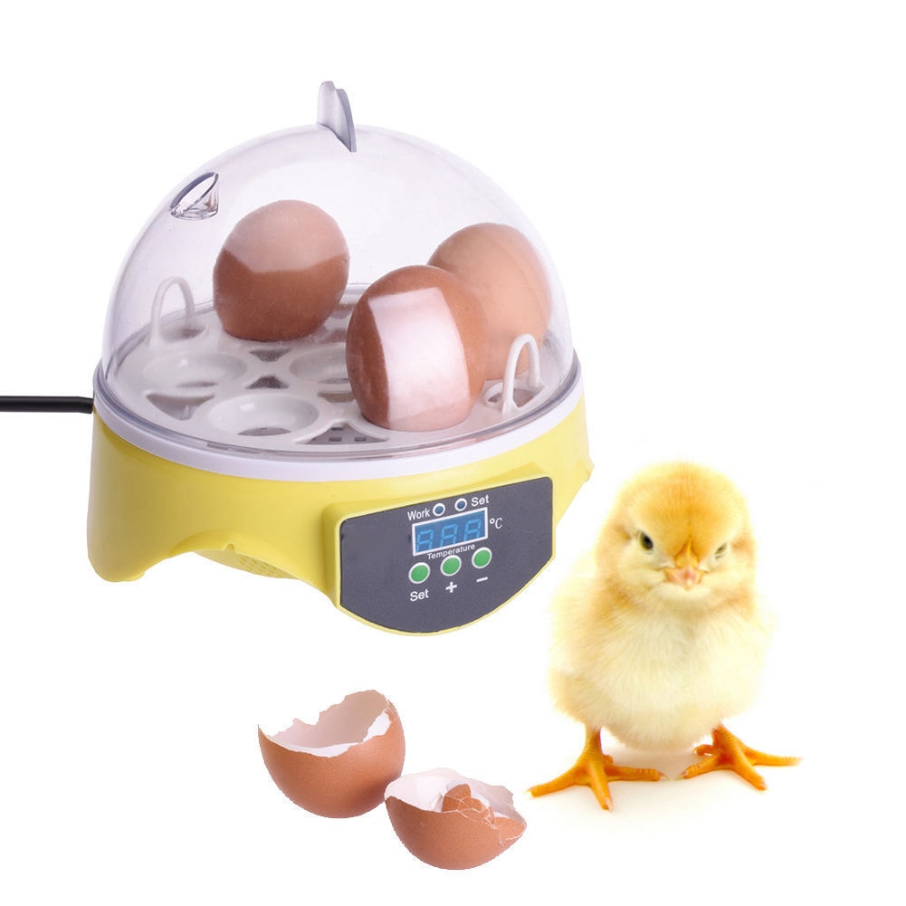 Poultry Hatching Machine 7 Mini Brooder Small Chicken Bird Egg Hatchers Incubator for Quail Parrot Duck European Standard Plug