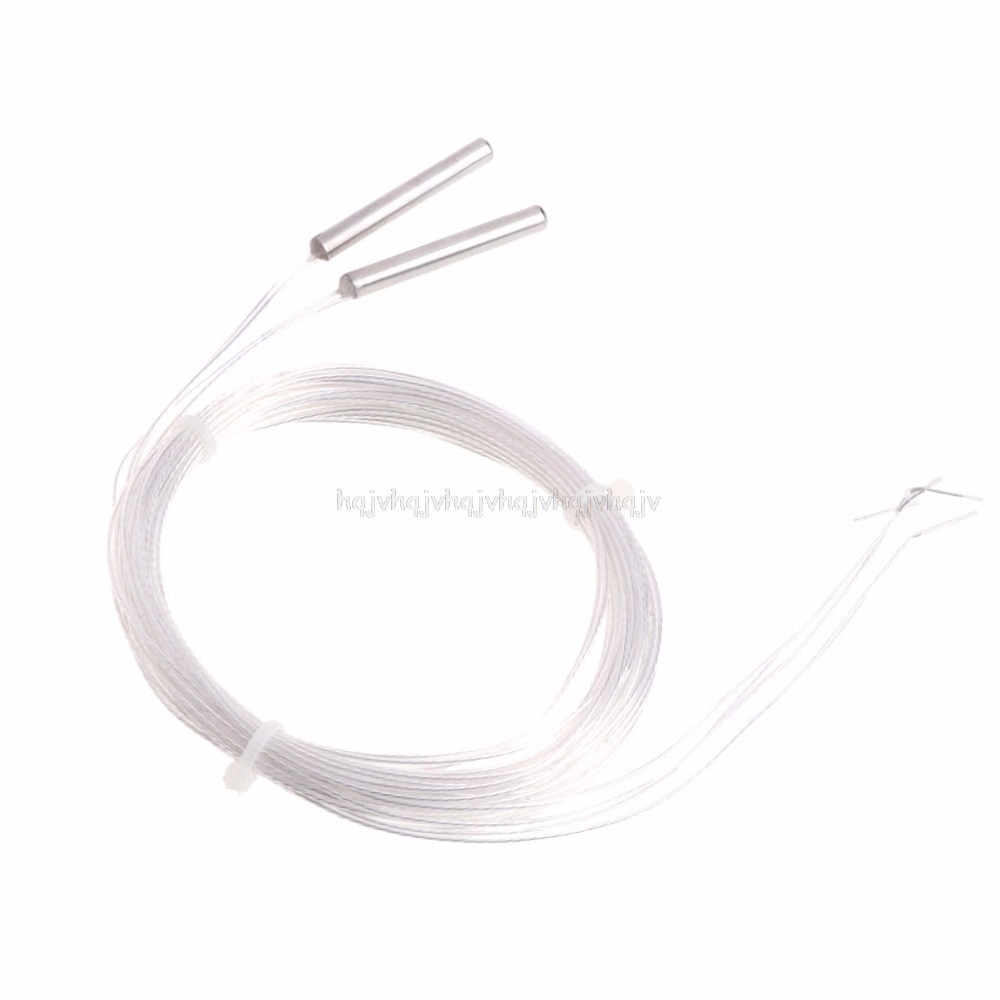 2 x PT 100 platino resistencia RTD Sensor sonda de temperatura con 5m cable N22 19