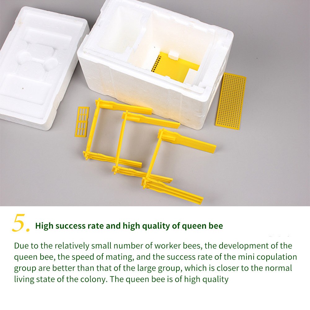 Bee Hive Beekeeping King Box Pollination Box Foam Frames Beekeeping Tool Kit Hive Box Harvest Beehive Pollination Beekeeping