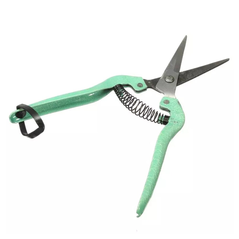 19.5cm Straight pruning cut Shrub tool Plant horticulture leaf trimmer Shear Scissor pruner Garden fruit flower
