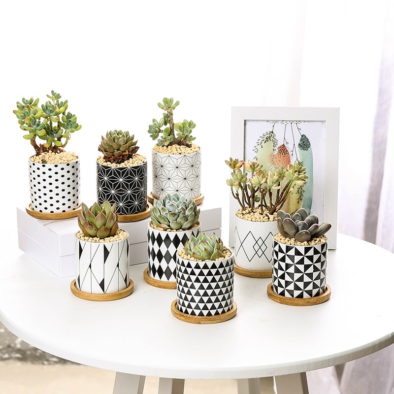 Modern Geometric Pattern Ceramics Flower Pot for Succulent Plant Nordic Style Planter Pot Home Garden Office Decoration