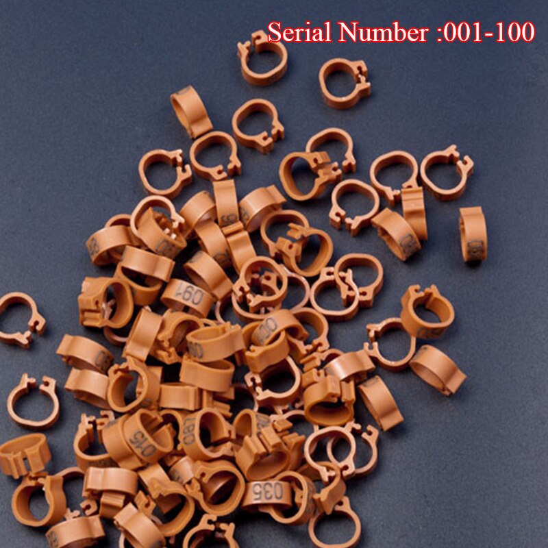 Inner Diameter 8mm Pigeon Leg Bands Poultry Dove Bird Parrot Clip Rings Band Foot Ring Pigeon Supplies Bird Appliances 100 Pcs: Auburn