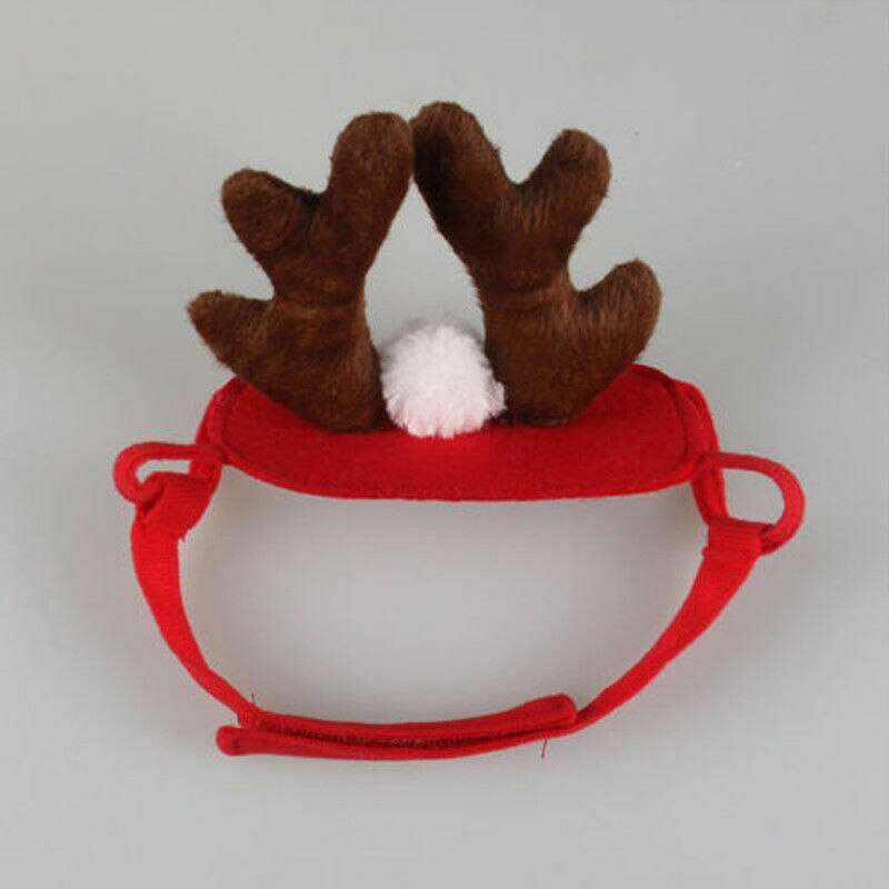 Hunde Katze Rentier Stirnband Deckel Haustier Elch Geweih Nette Hüte Welpen Hirsch Hörner Kappen Kopfschmuck Katze Weihnachten Kostüm Haar Dekor: verrotten