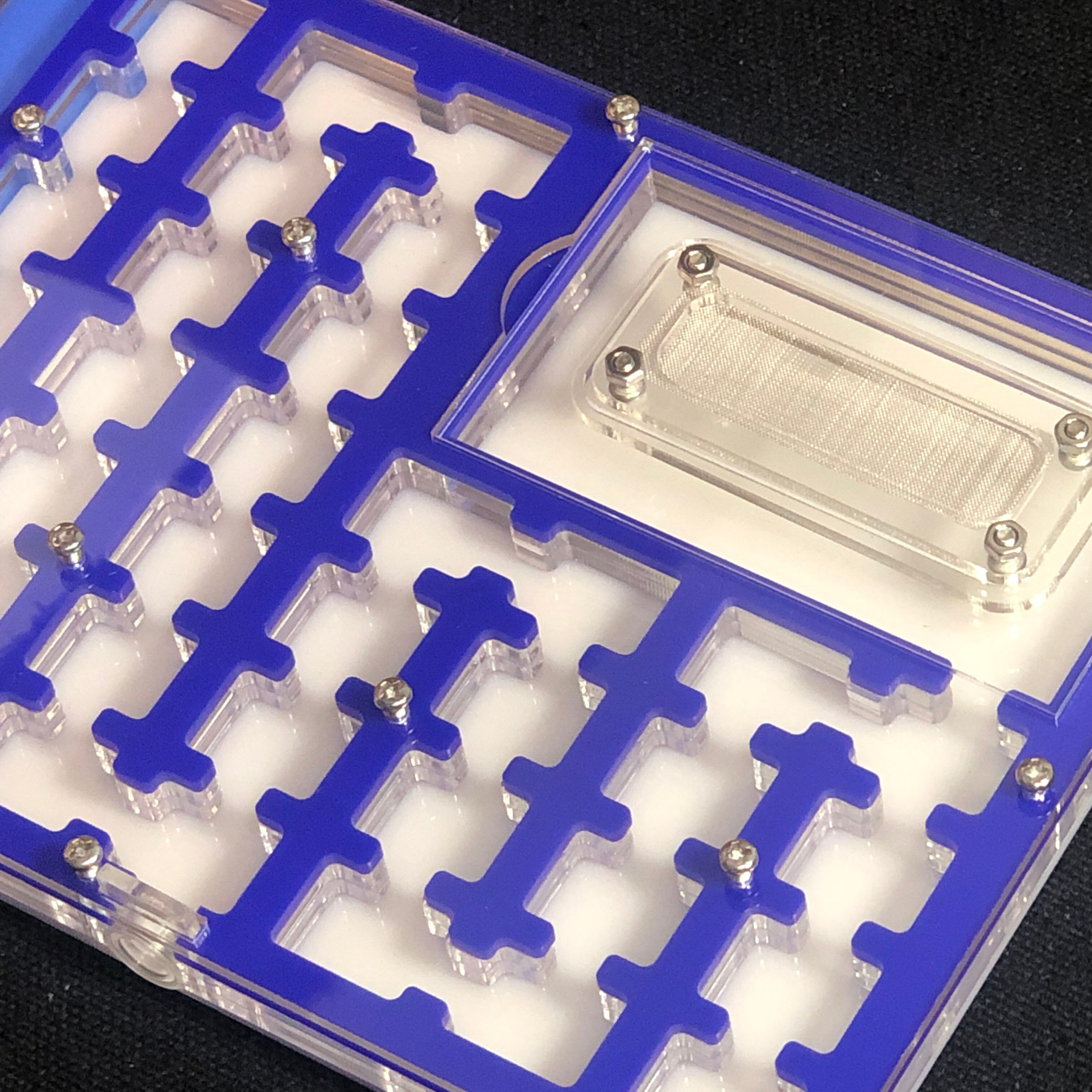 BIG Space Acrylic ant farm maze,Ant Nest with Feeding Area and moisturing zone Ant House for Pet Anthill