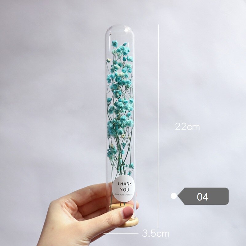 Dried Flower Glass Test Tube Decorations Family Living Room Study Specimens Ornaments: 04