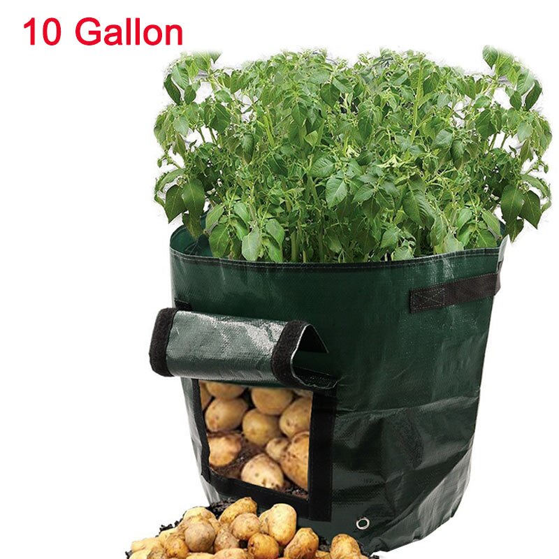 Potato Grow Container Bag DIY Planter PE Cloth Planting Vegetable Gardening Vegetable Pot Planting Grow Bag Garden Tool: 10 gallon