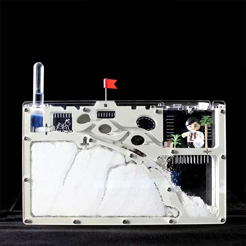 Big Formicarium Ant Nest ,ant Farm Acrylic Insect Ants House Ecological Workshop Reptile Home