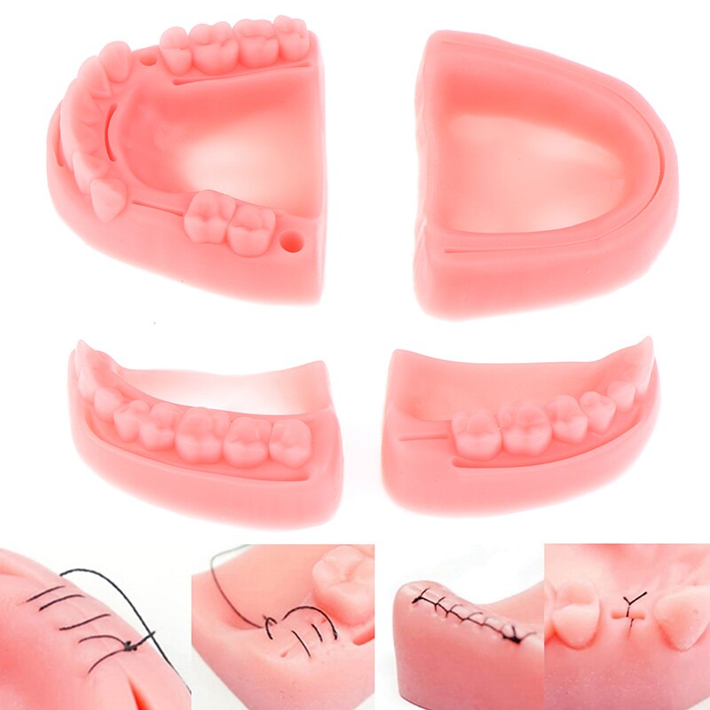 Simulación Dental, modelo de sutura oral, sutura de goma, equipo de entrenamiento para enseñanza, práctica de habilidades, 4 unids/set por Set