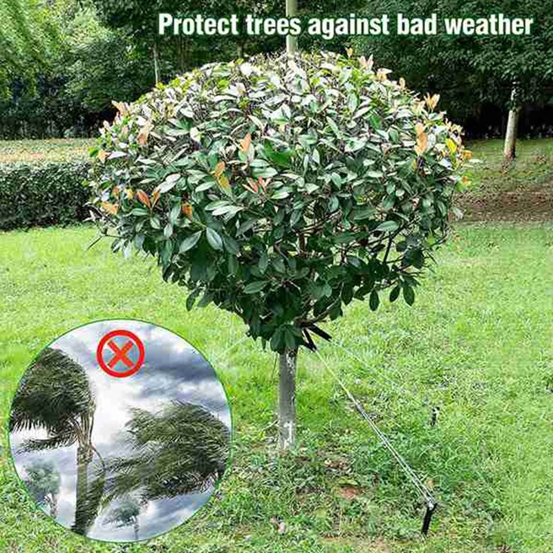 31 Pcs Tree Stake Kits,Anchoring Tree Stakes+Tree Straps+Rope For Young Trees Against Wind,For Sapling Straight Up Fix